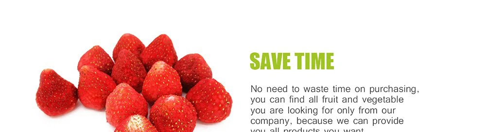 freeze dried strawberries and bananas factory