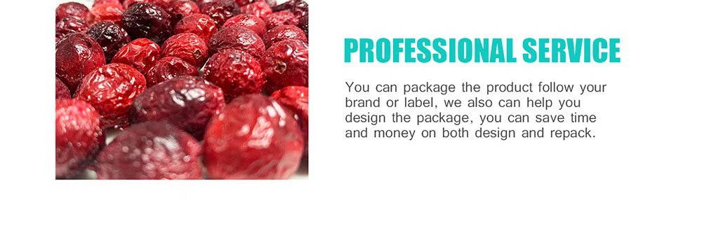 freeze dried cranberries (5)